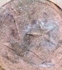 Picture 3 of 8