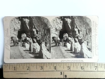 The Road to Bakke, Norway Stereoview J.F. Jarvis Publisher 1900s