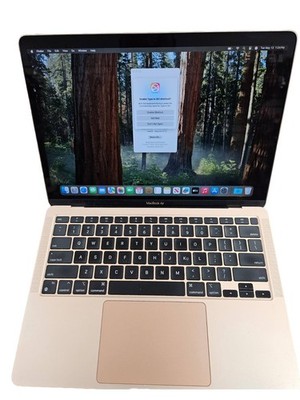 Apple MacBook Air 13 in 2020 Rose Gold/Apple M1 3.2 GHz, 512 GB 8 GB 8-Core