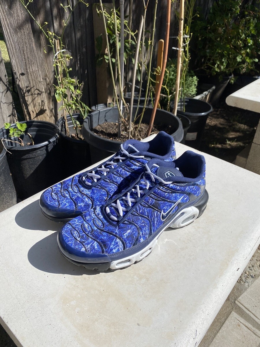Air Max Plus TN Shatterd Ice Blue Size 12 D06384-400 | eBay