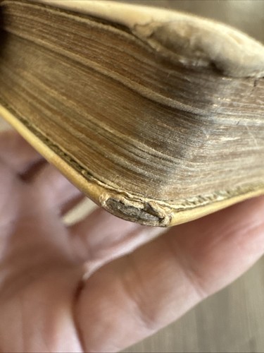 Antique Polish Religious Devotion Book Celluloid Gilt Pages Mini Size 1895 Rare - Picture 8 of 20
