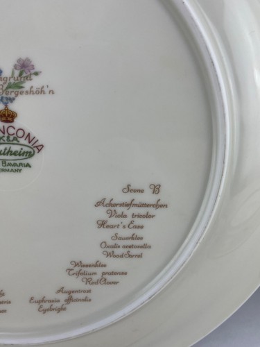 Juego de 8 platos de cena Franconia Krautheim Bavaria Selb Meadow Flowers 10" Lg - Imagen 15 de 20