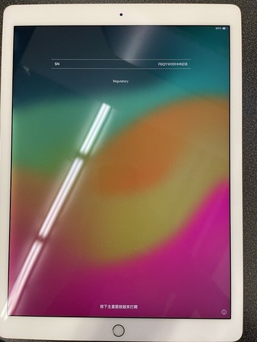 6 x Apple iPad Pro 2nd Gen 256GB (GOLD), Wi-Fi, 12.9 in - Backlight issues - Afbeelding 7 van 12