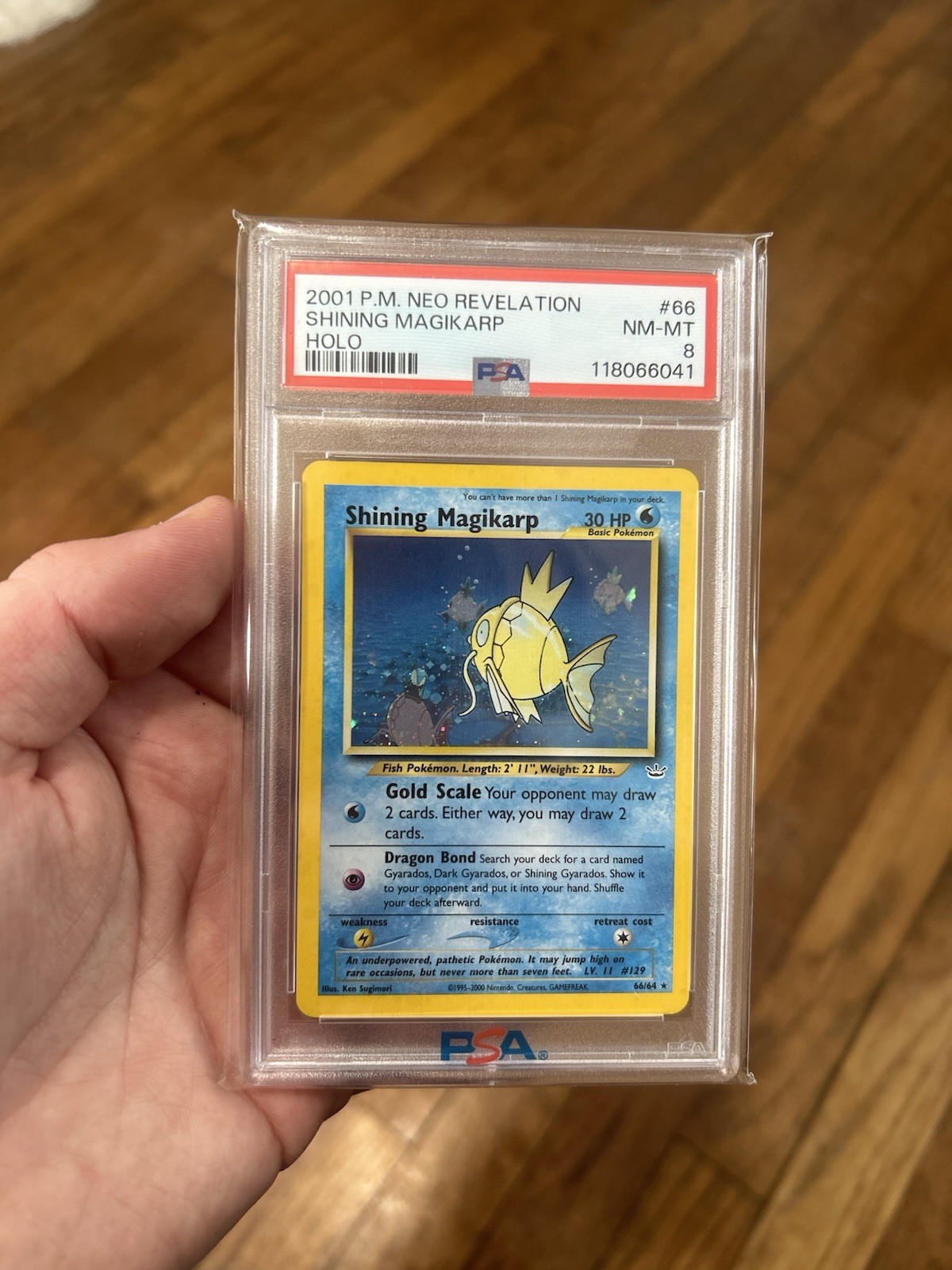 Pokémon TCG Shining Magikarp Neo Revelation Holo Card 66/64 PSA 8