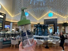 2025 Walt Disney World Swan & Dolphin Hotel Dolphin Souvenir Sipper New