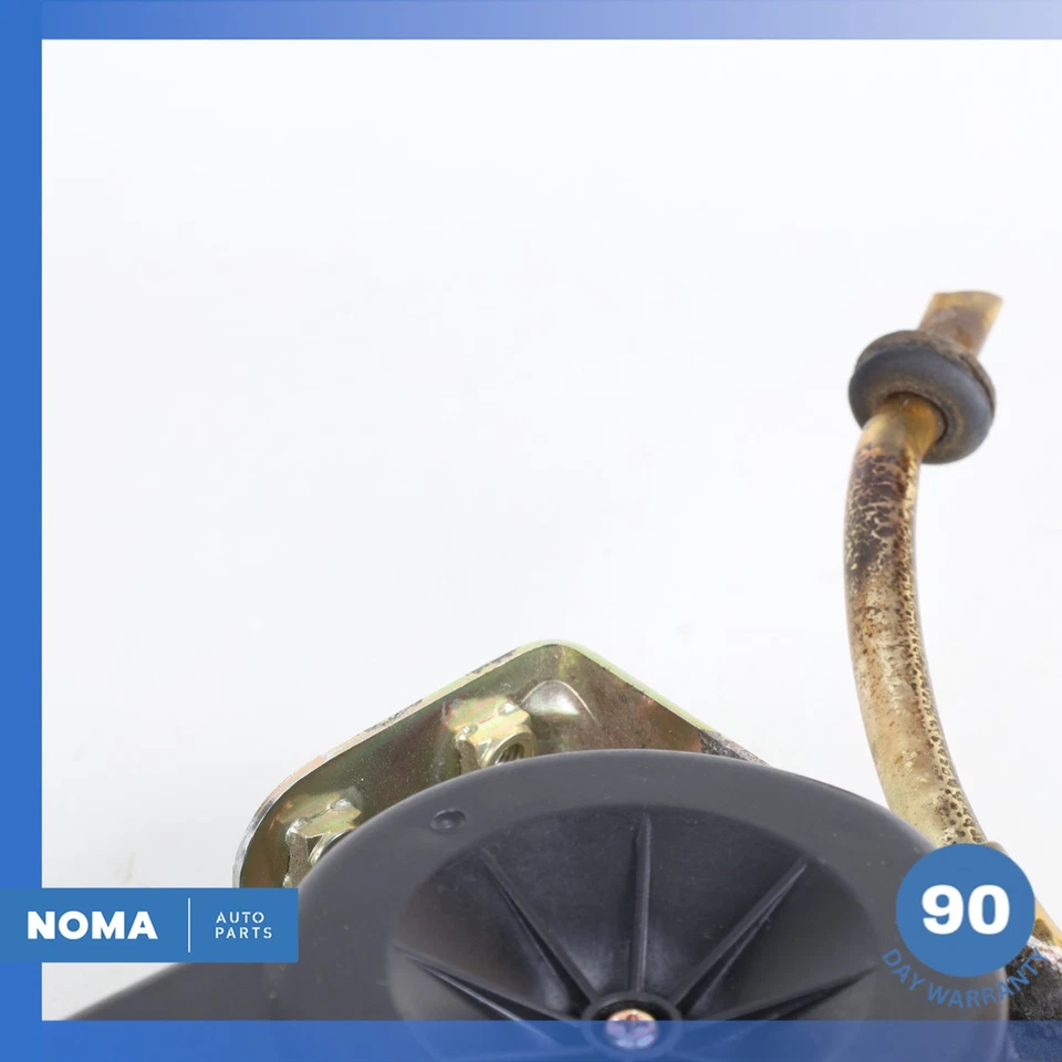 Antena estéreo de radio extensible de potencia para maletero Jaguar X100 XK8 97-06 FABRICANTE DE EQUIPOS ORIGINALES Foto 3 de 4