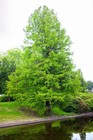 Bild 8 von 9