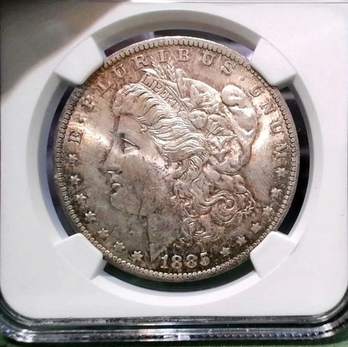 BEUATIFUL, "1885-0", "NGC", "MS-64", MORGAN DOLLAR, NICE TONING.