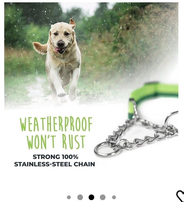 Collar de perro Mighty Paw Martingala - Corrección suave sin más tirones - Medio Foto 4 de 4