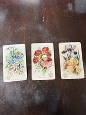 3 Card Lot 1889 Arm and Hammer Beautiful Flowers Series Cards