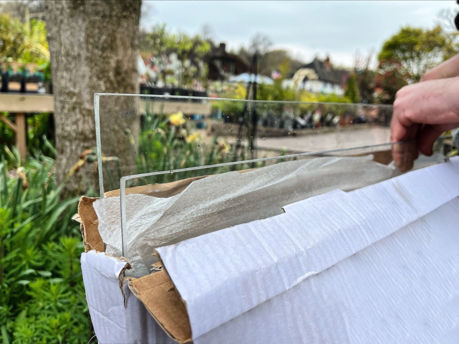 Greenhouse Shed Toughened Glass 610mm x 610mm Replacement Window