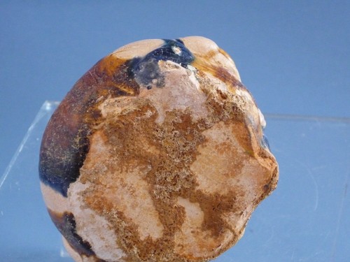 Tang SanCai Bear Pot - Tang Dynasty 唐代三彩熊式水呈 - Picture 9 of 12