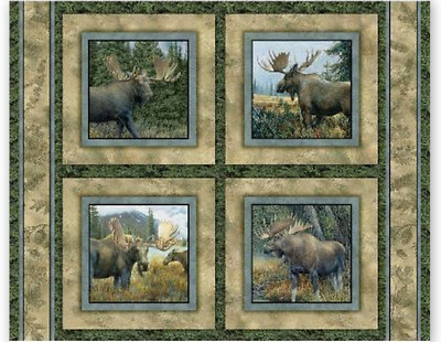 Wild Wings Caldwell Creek Moose Cotton Fabric DYELOT2 Springs CP41993 36'' Panel