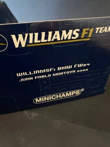 Minichamps 1:18 F1 BMW F24 Juan Pablo Montoya 2002 - Immagine 3 di 3