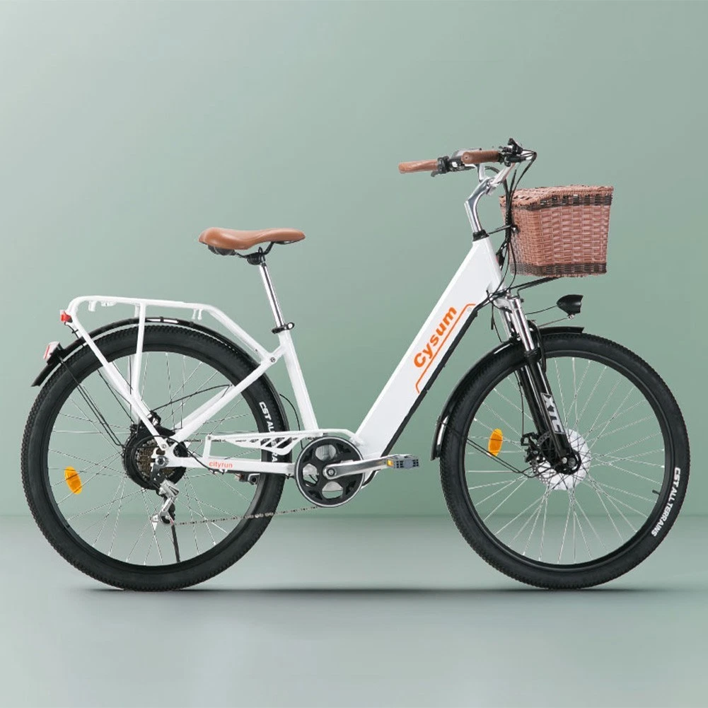 E-Bikes Damen 26 Zoll online kaufen | eBay.de