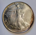 1993 American Silver Eagle $1 1 oz .999 Fine Silver - BU - Beautiful Toning