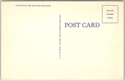 Salem Virginia VA, Lutheran Children's Home of South, Grounds, Trees, Postcard - Picture 2 of 2