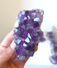 Amethyst Cluster Crystal Cluster A510