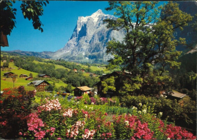 Suisse - Switzerland - Switzerland - Bernese Oberland - Grindelwald with Weatherhorn