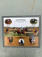 Celebrate American Pharoah's Triple Crown Win with Victor Espinoza Autographs and Memorabilia 23