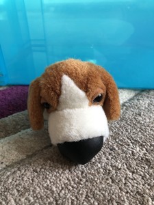plush beagle dog