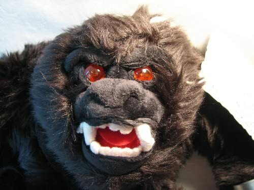 ウルフダウン　WDC70mh　GORILLA ZAMBERLAN Hiking Trail Lite EVO GTX Leather Boots ITALY Vibram