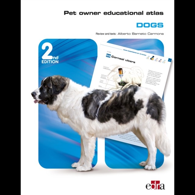 Pet Owner Educational Atlas: Dogs - 2nd edition by Grupo Asis Biomedia S.L. - Image 4