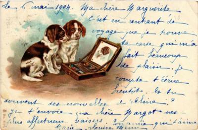 CPA AK Souvenir DOGS (729529)