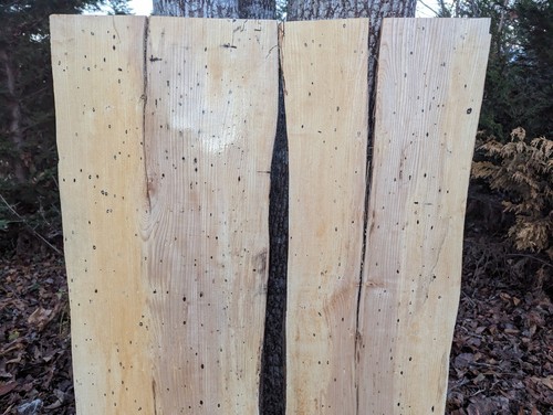 Wormy Ash slabs 2 (Live edge) thick slabs (river table) shelf set - Picture 12 of 12