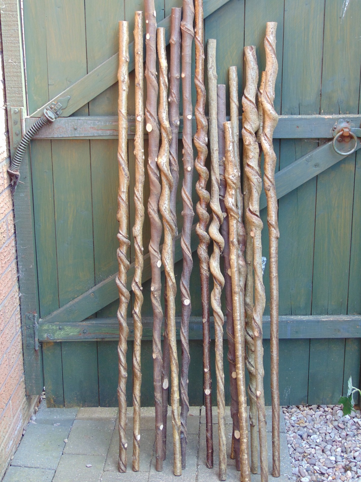 The FORESTER, SEASONED & STRAIGHTENED WALKING STICK SHANKS eBay