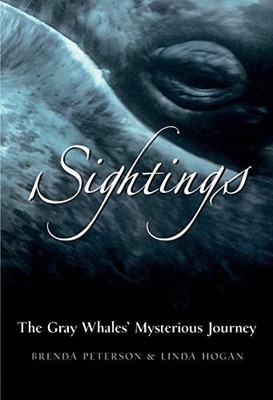 Sightings: The Gray Whales' Mysterious Journey (paperback)