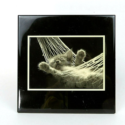 Grander Images Ceramic Tile Art - Kitten Napping in Hammock Black & Off-White 8''