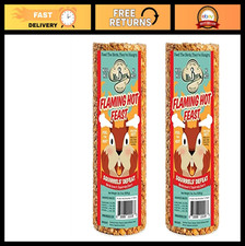 2-Pack Flaming Hot Bird Seed Cylinder 19 oz - High-Energy Wild Bird Food