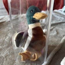 JAKE the Mallard Duck (Beanie Babies) in Plastic Case