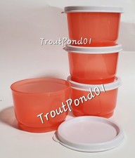 TUPPERWARE Snack Cups Set di 4 Lunch Box 4 oz Ciotole Guava Trasparente/Corallo Bianco