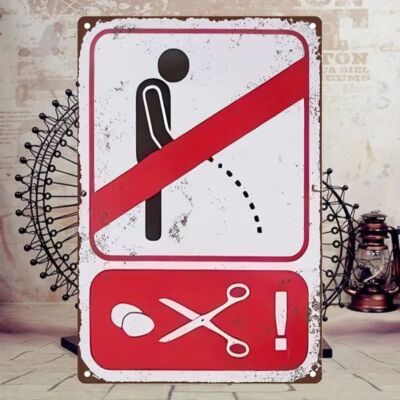 Blechschild Nicht im Stehen pinkeln, sonst Rostoptik Retro Vintage TEL145
