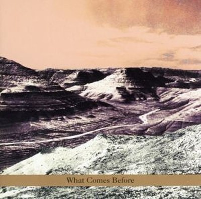 Goldberg / Schott / Sarin Trio - What Comes Before (CD) - JAZZ *NEW*