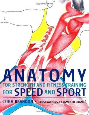 Anatomy for Strength and Fitness Training for Speed and Sport - Leigh Brandon