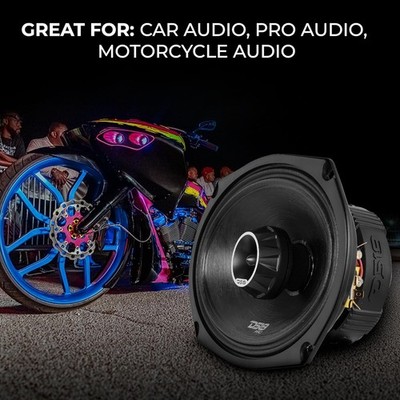 その他 1120-06 DS18 PRO-ZT 6x9 2-Way Mid-Range Loudspeaker with Built-in Bullet