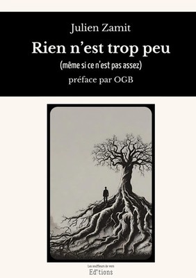 Rien n'est trop peu | (même si ce n'est pas assez) | Julien Zamit | Taschenbuch