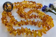 Polished Honey Lithuanian Baltic Amber Necklace 🐝 12" 🐝 Lab Certified