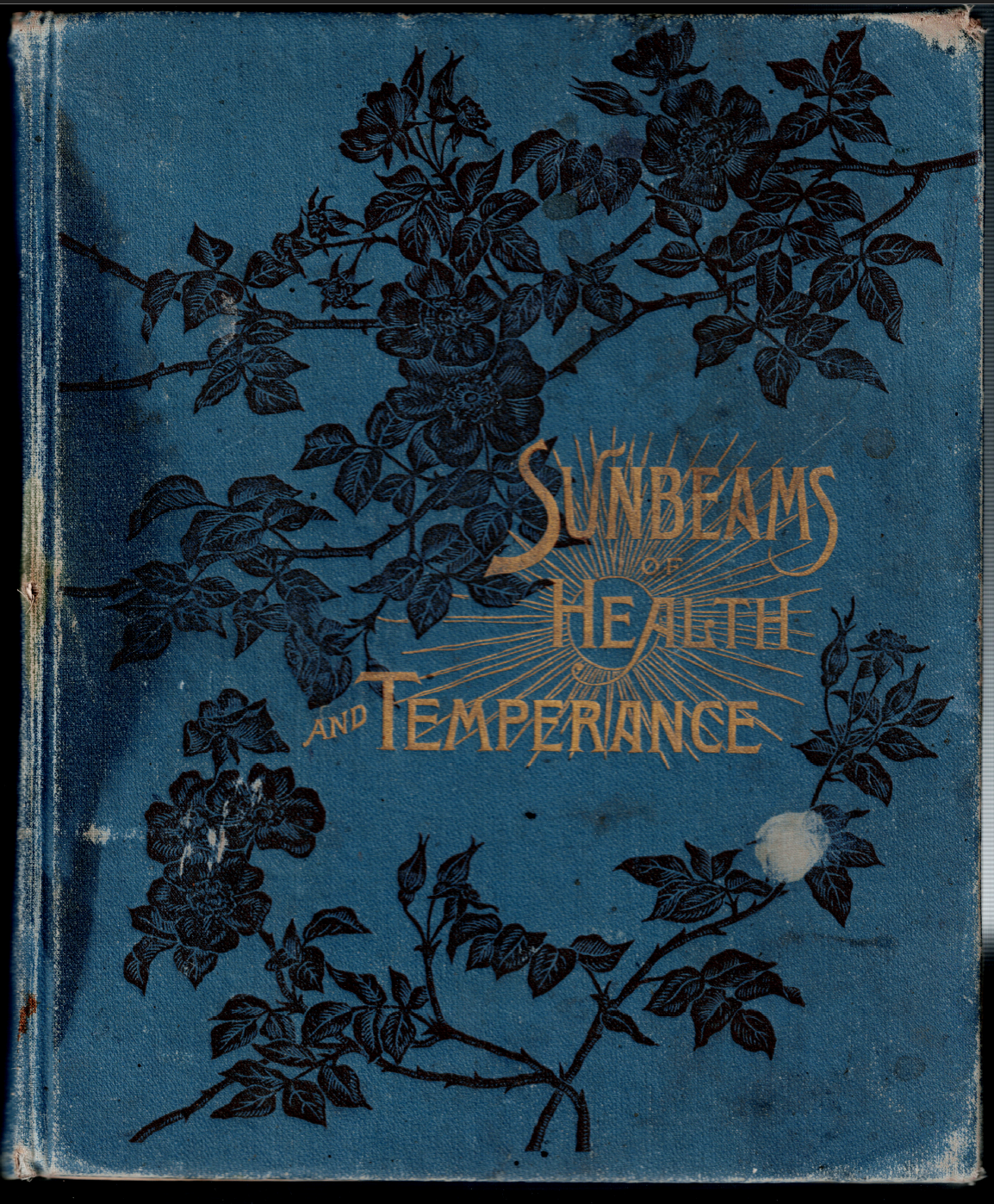 Sunbeams of Health & Temperance ; by J H Kellogg - 1889 Hardcover Book