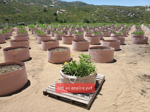 Empire Premium 100 Gallon Fabric Grow Pots - 5 Pack - 第 10/14 張圖片