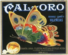 CAL ORO Orange Mariposa BUTTERFLY Santa Ana Tustin Fruit Crate Label Art Print