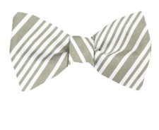 Men's 100 Silk Designer Stripe Self Tie Woven Bowtie- NWT
