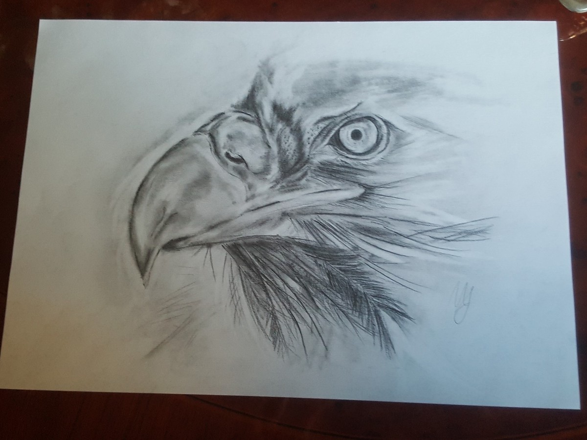 Ancona-L'Aquila 2-0: Diretta Live E Risultato Finale | Serie D - Foto 3