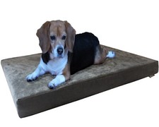 Medium Large Gray Suede Pet Dog Bed Orthopedic Waterproof Gel Memory Foam 37x27