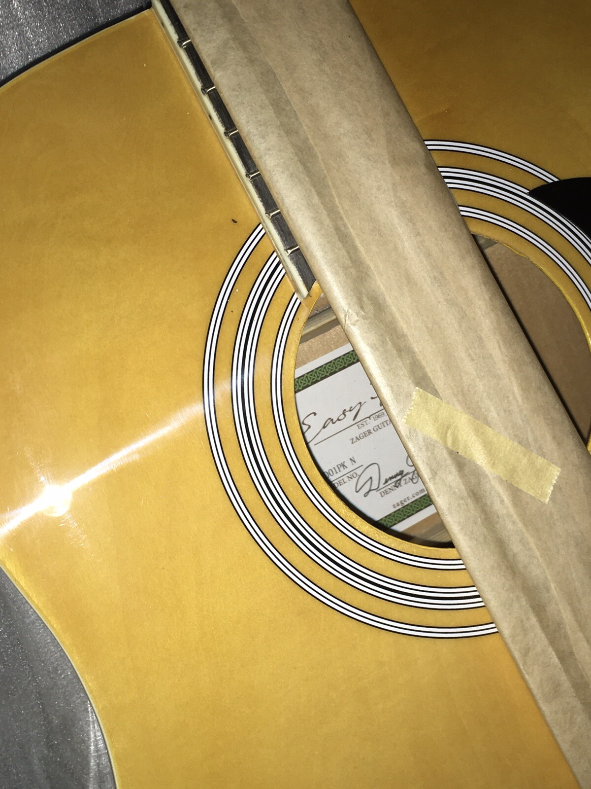 Zager EZ Play String Guitar & Accessories Value 795.00 + 399 Free