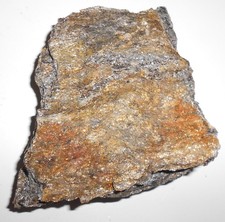 Vitriol Schiefer Polen Devon Hohe Tatra 💖 (1281) Schau Mal !TOP- Angebote !