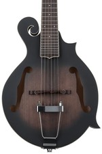 Gold Tone F-6 6-string Acoustic-electric Mando-Guitar - Tobacco Sunburst